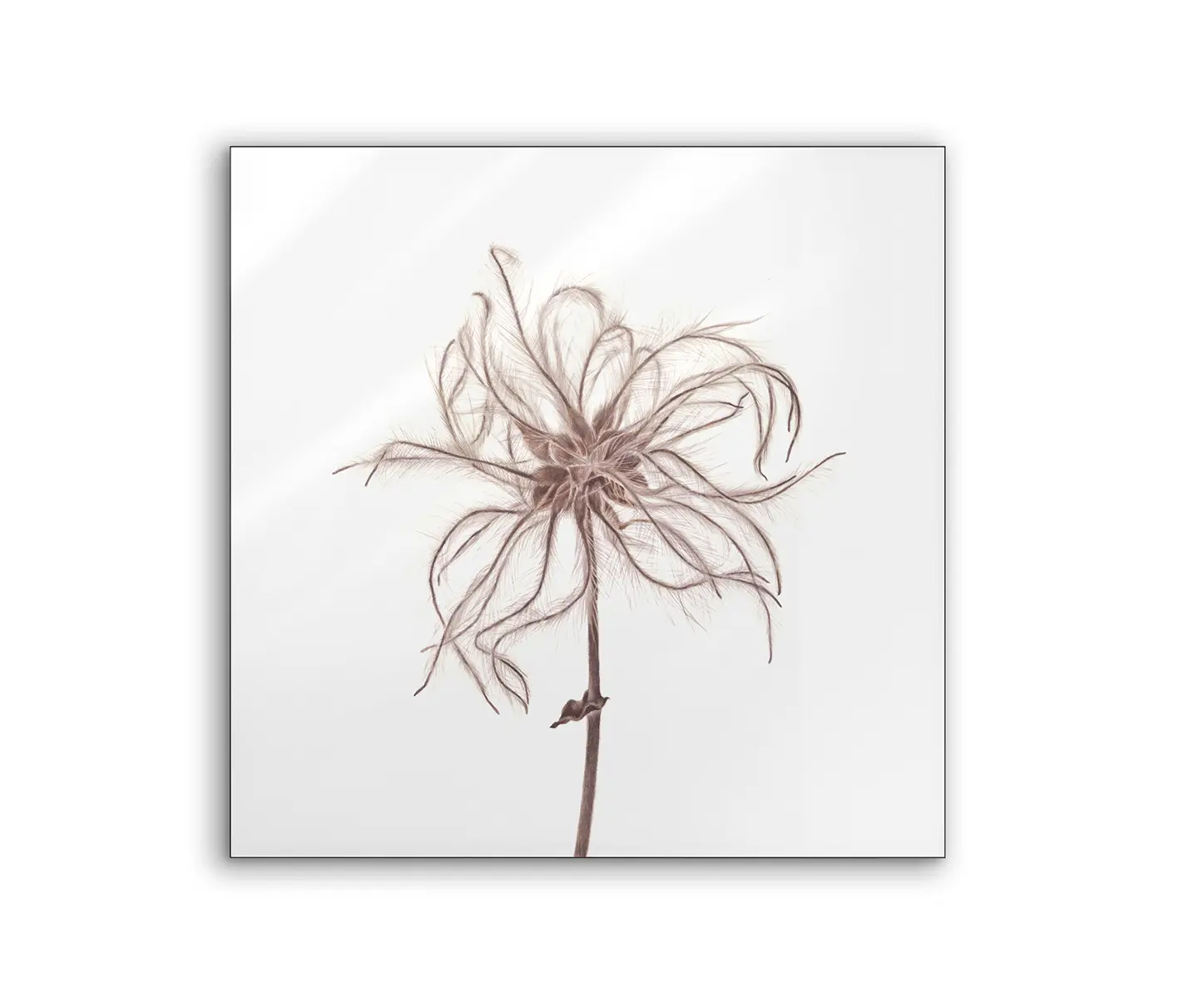 NC Design Group® - Lumaframe | NCD-SLU08-LU