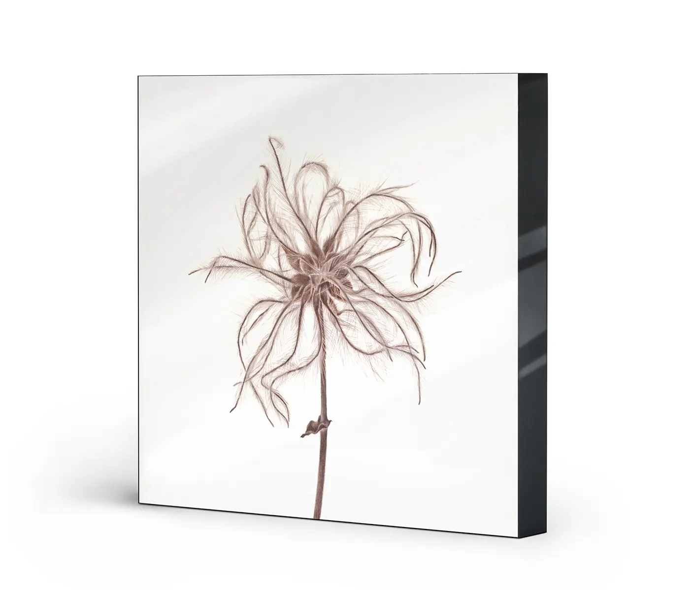 NC Design Group® - Lumaframe | NCD-SLU08-LU