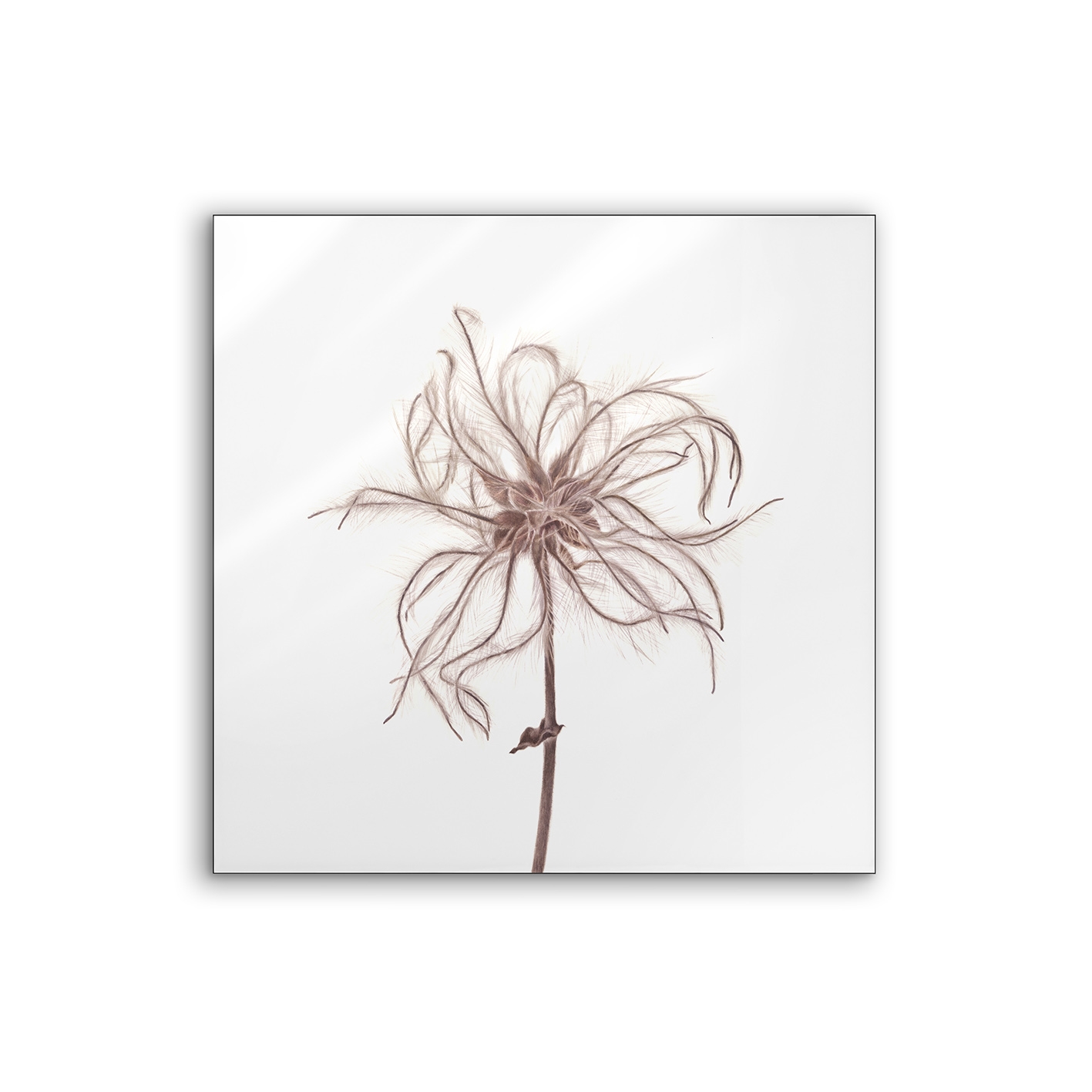 Lumaframe | NCD-SLU08-LU