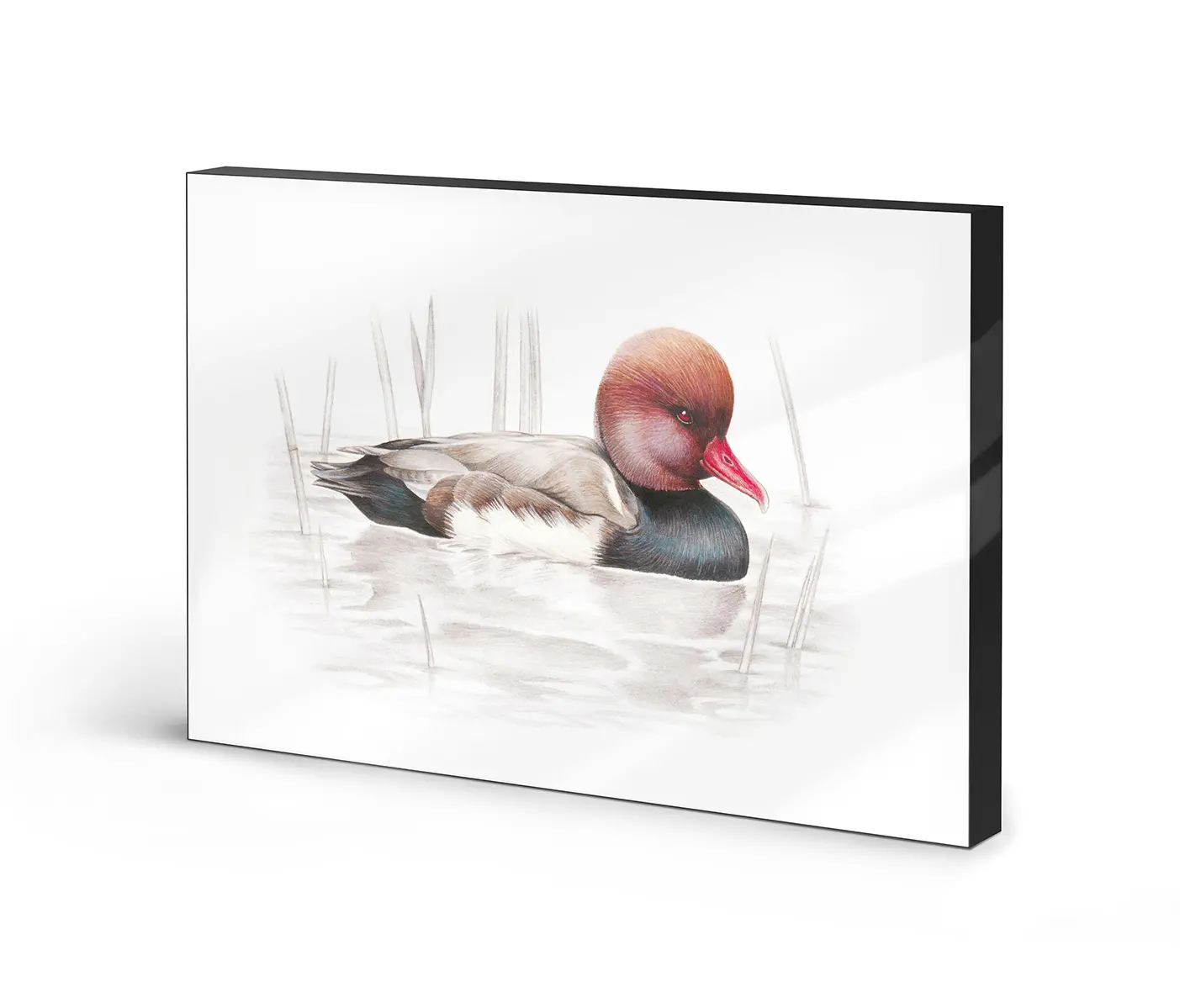 NC Design Group® - Lumaframe | NCD-SLU09-LU