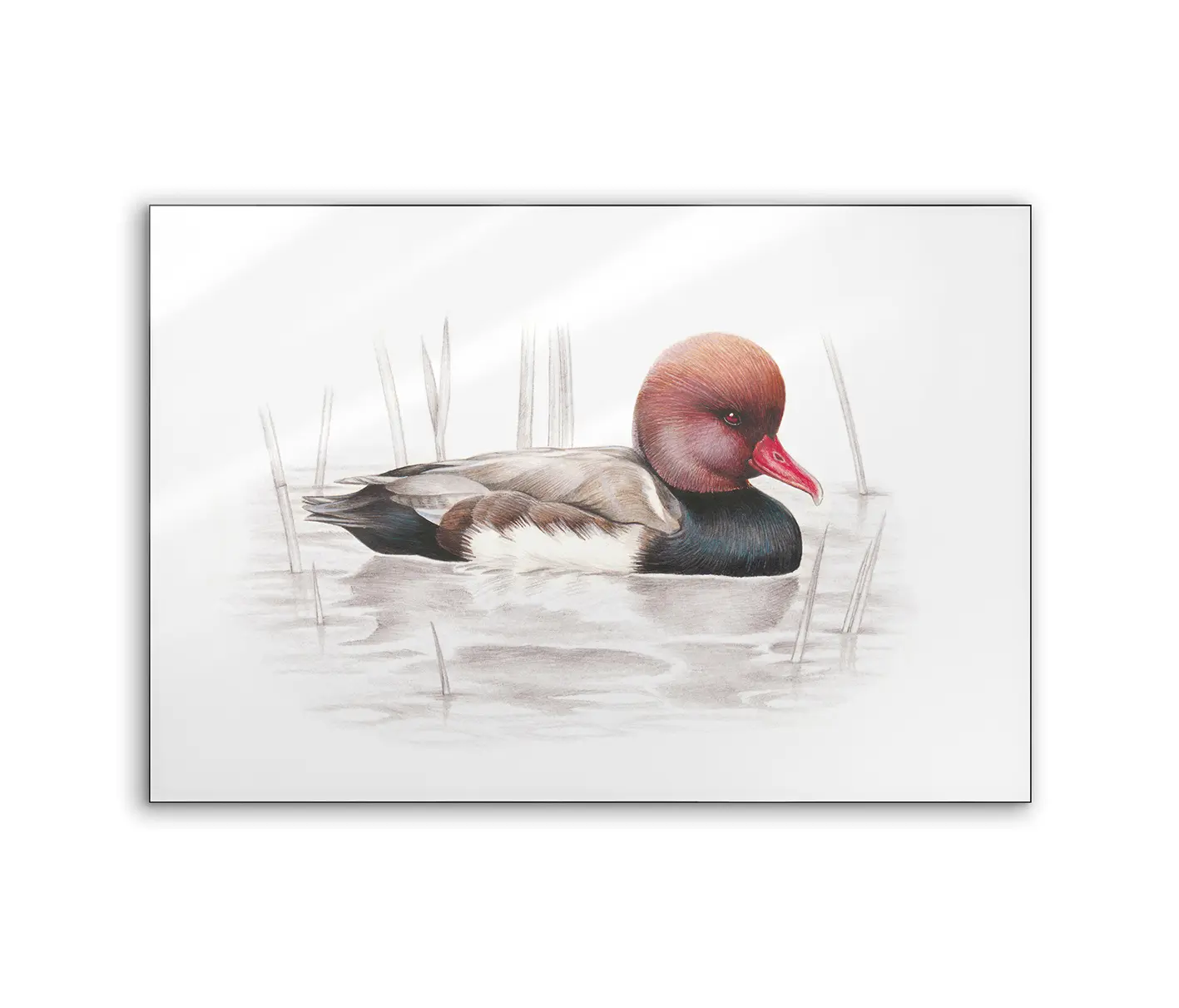 NC Design Group® - Lumaframe | NCD-SLU09-LU