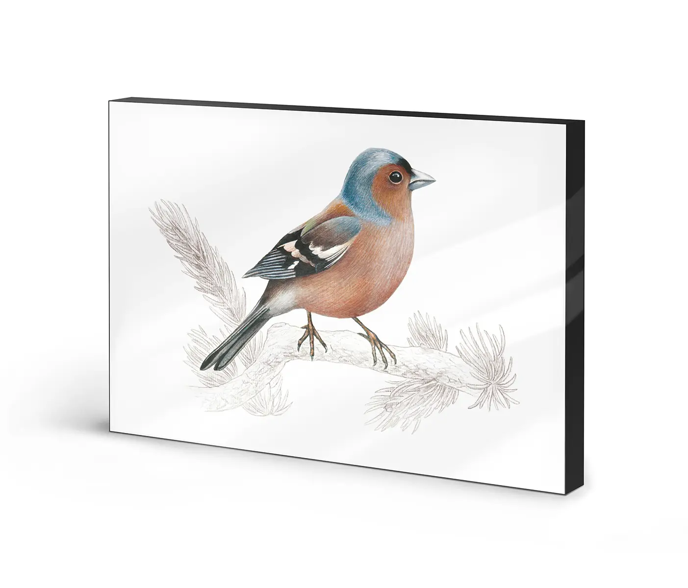 NC Design Group® - Lumaframe | NCD-SLU10-LU
