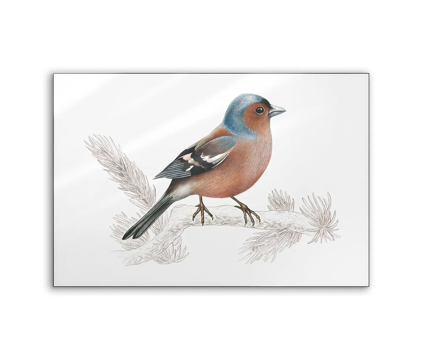 NC Design Group® - Lumaframe | NCD-SLU10-LU