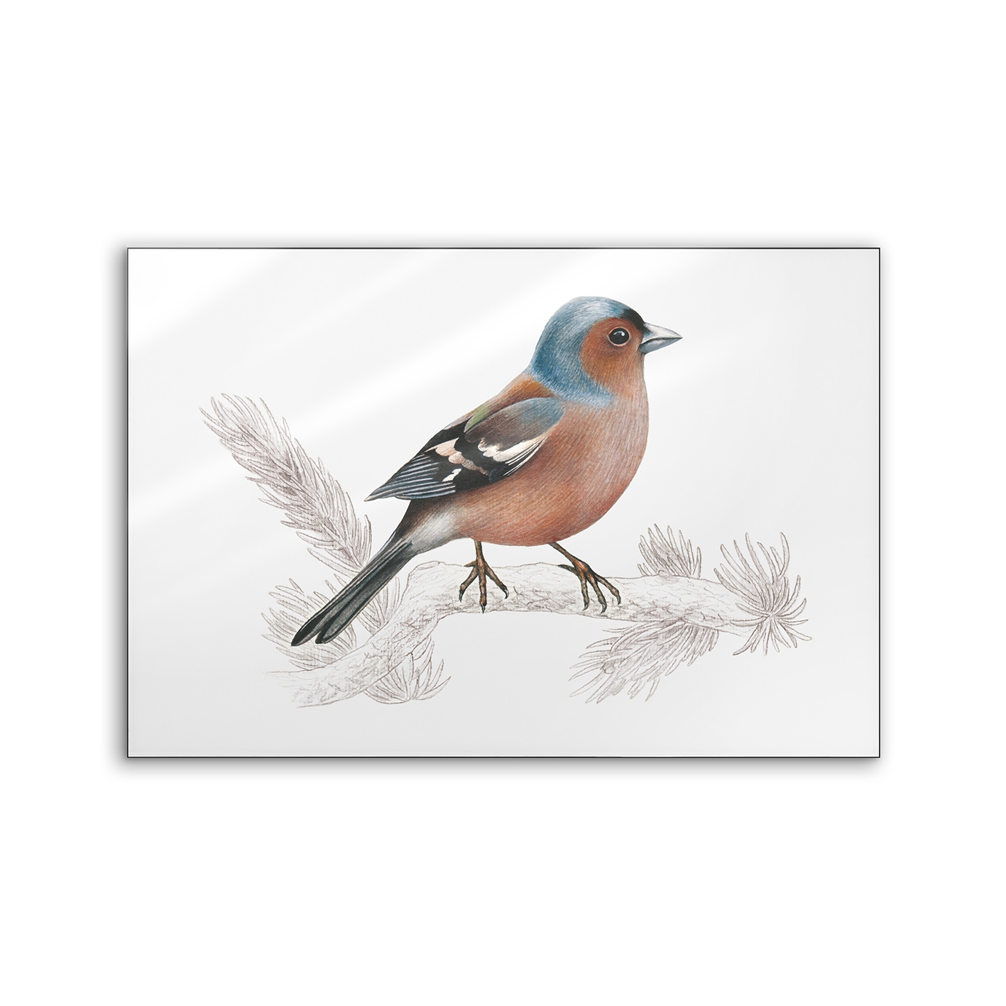 Lumaframe | NCD-SLU10-LU