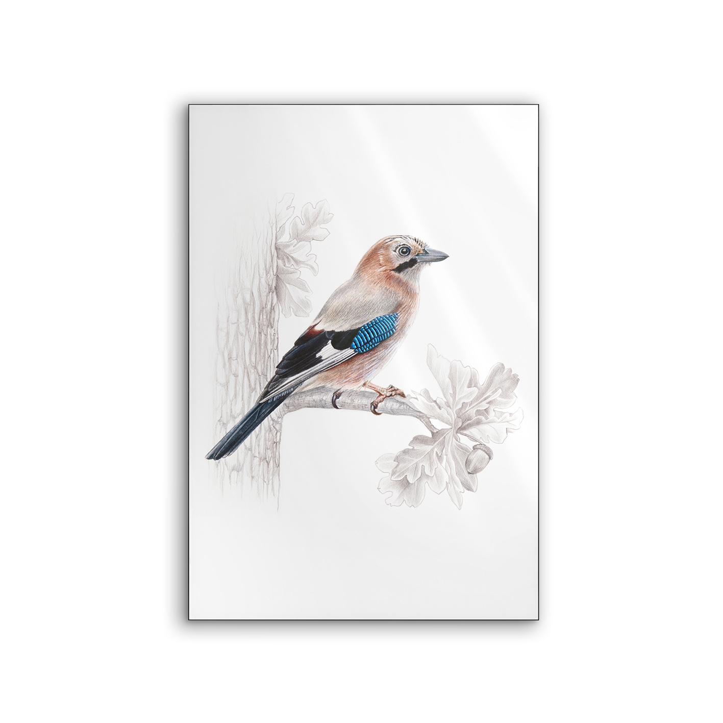 Lumaframe | NCD-SLU11-LU