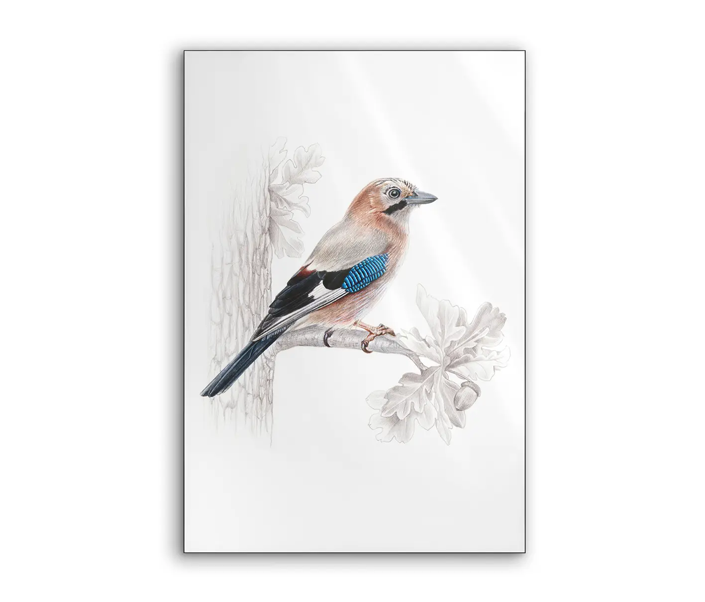 NC Design Group® - Lumaframe | NCD-SLU11-LU