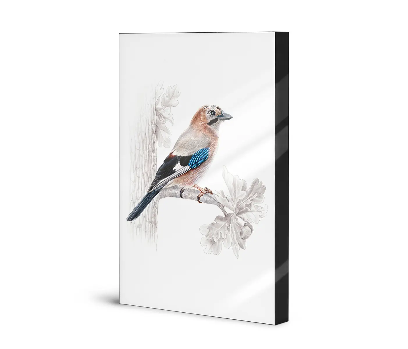 NC Design Group® - Lumaframe | NCD-SLU11-LU