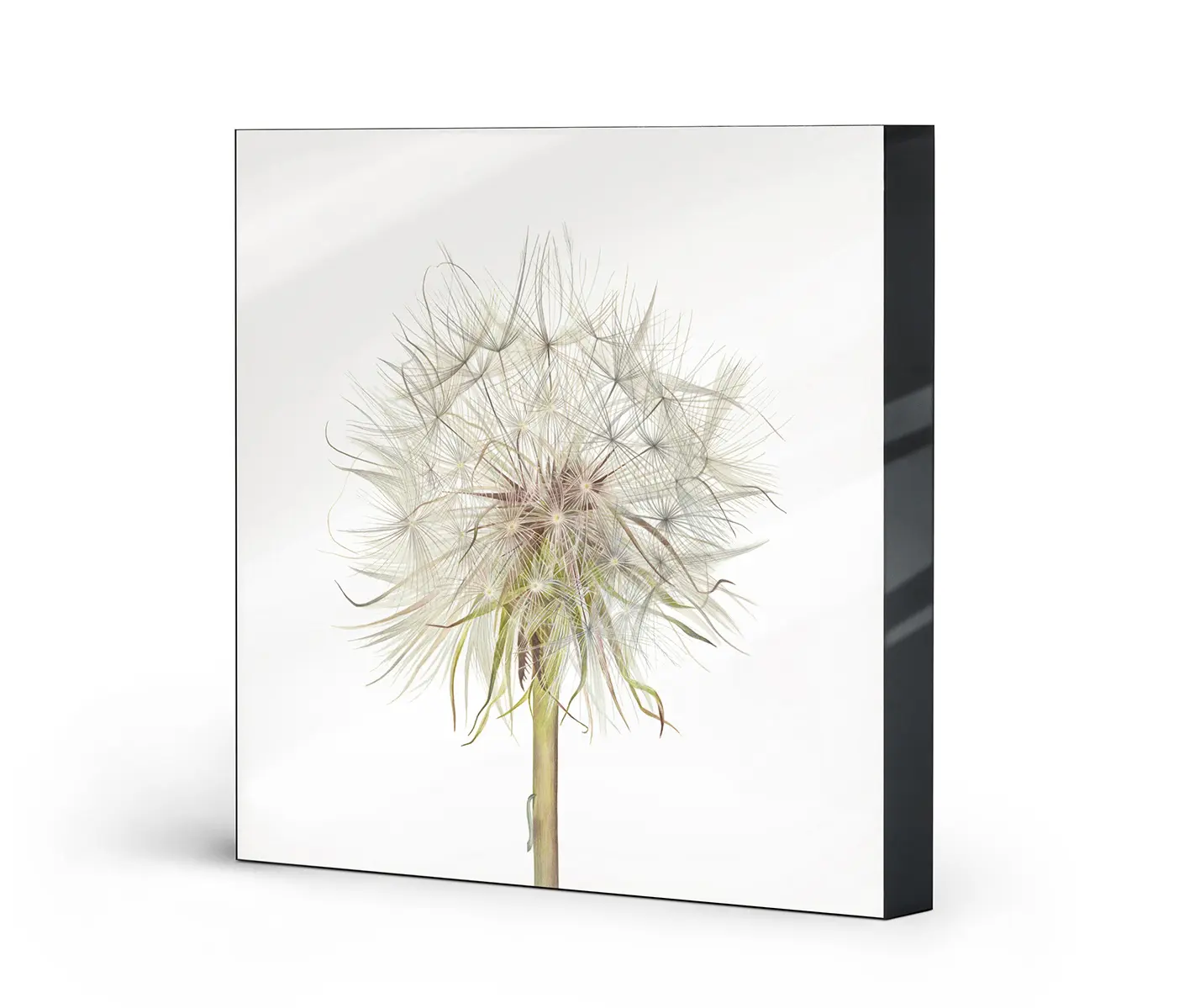 NC Design Group® - Lumaframe | NCD-SLU12-LU