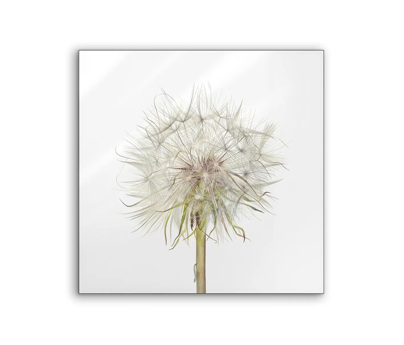 NC Design Group® - Lumaframe | NCD-SLU12-LU