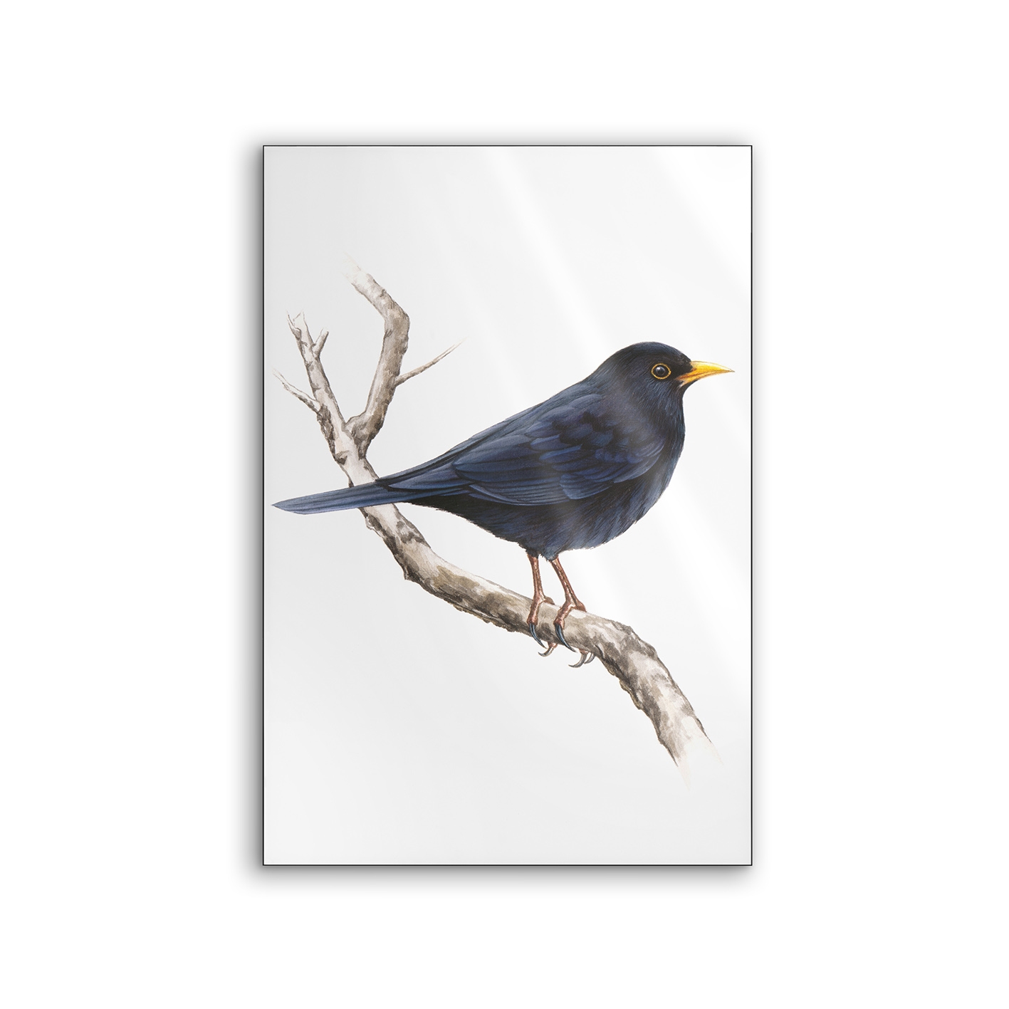 Lumaframe | NCD-SLU13-LU