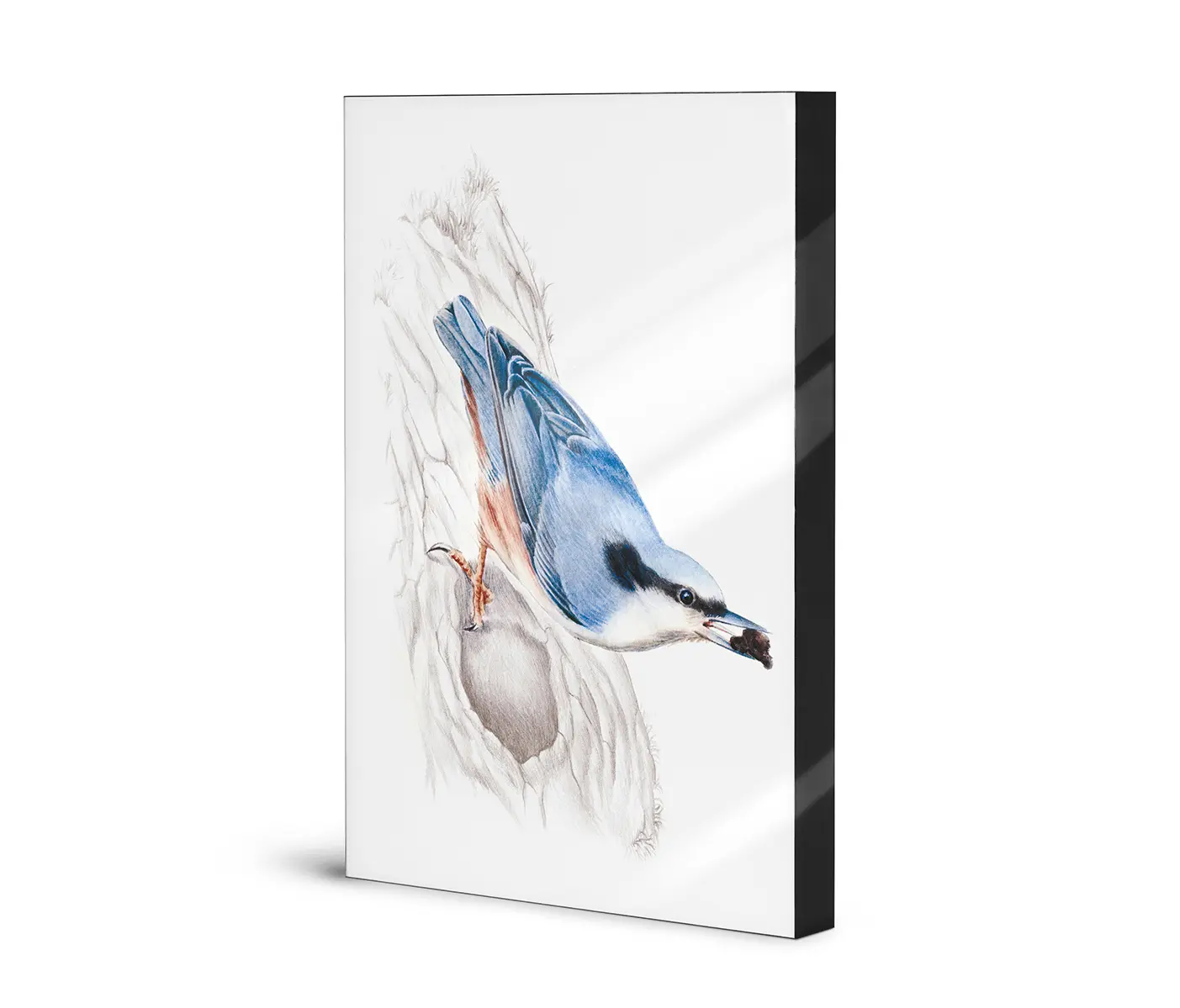 NC Design Group® - Lumaframe | NCD-SLU15-LU