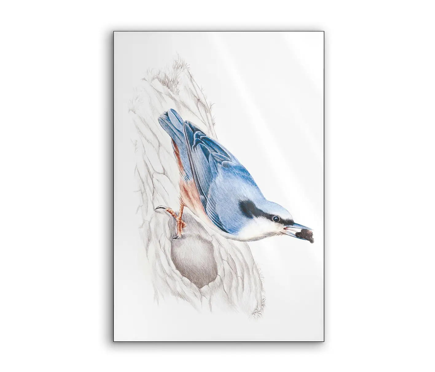 NC Design Group® - Lumaframe | NCD-SLU15-LU