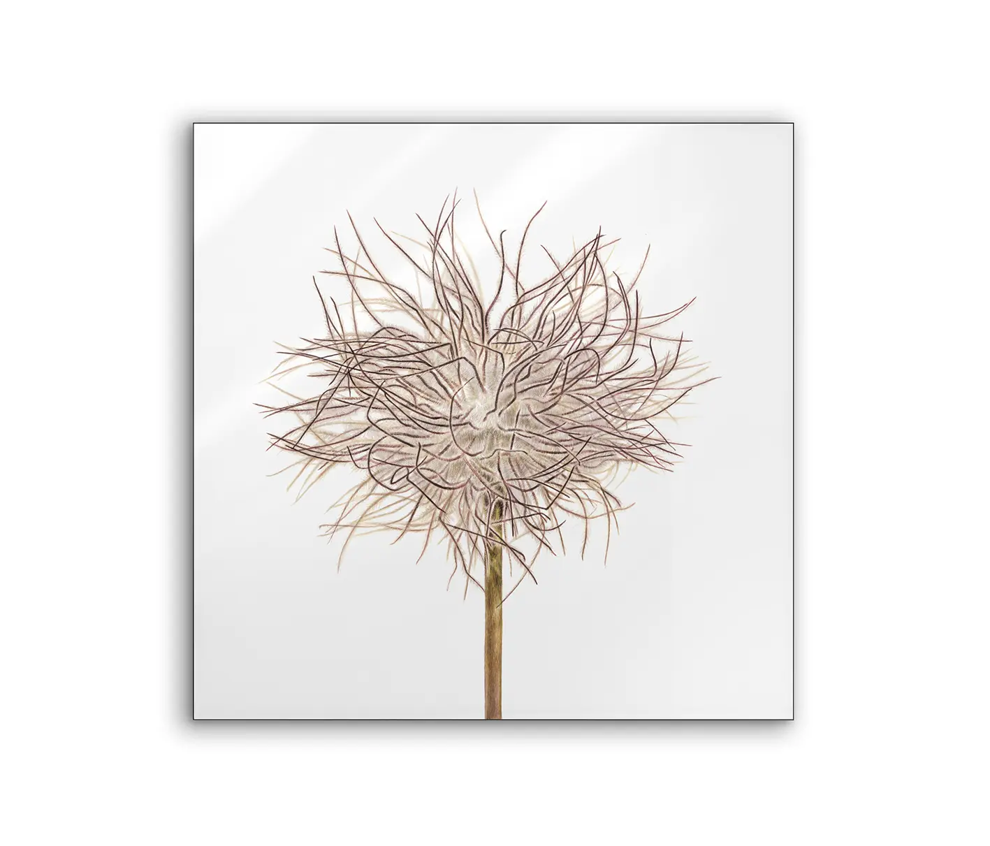 NC Design Group® - Lumaframe | NCD-SLU17-LU