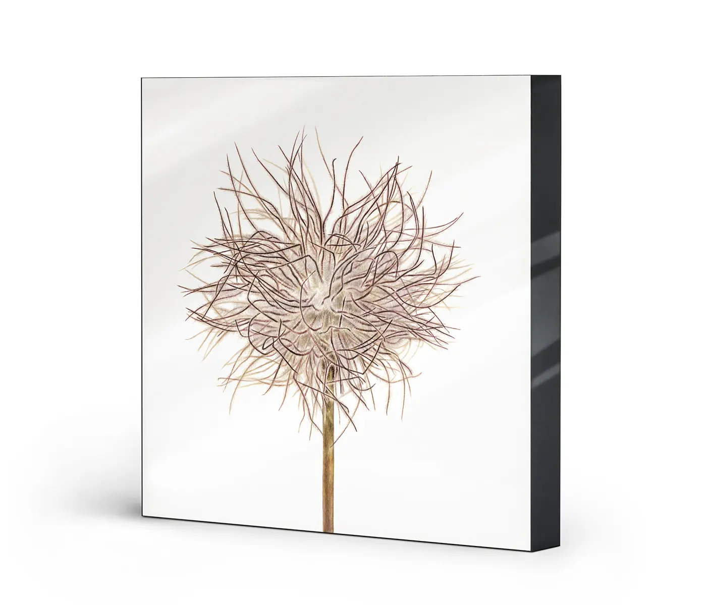 NC Design Group® - Lumaframe | NCD-SLU17-LU