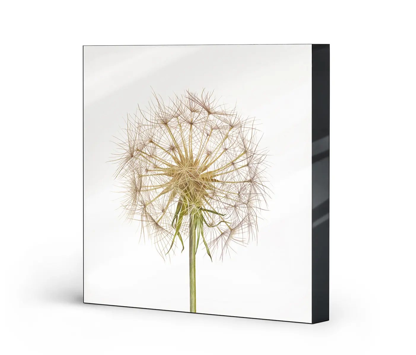 NC Design Group® - Lumaframe | NCD-SLU19-LU
