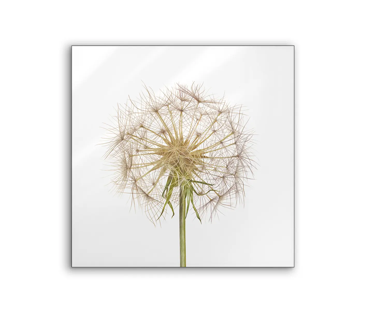 NC Design Group® - Lumaframe | NCD-SLU19-LU