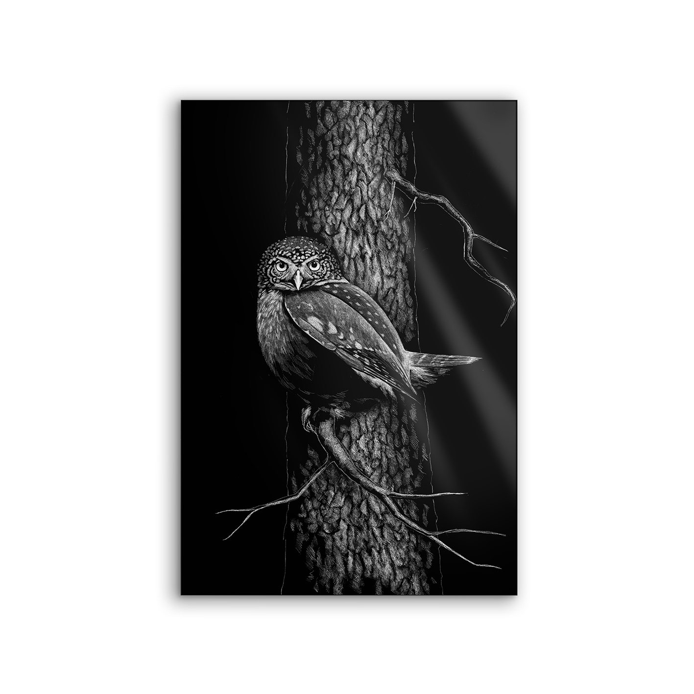 Lumaframe | NCD-SPR01-LU