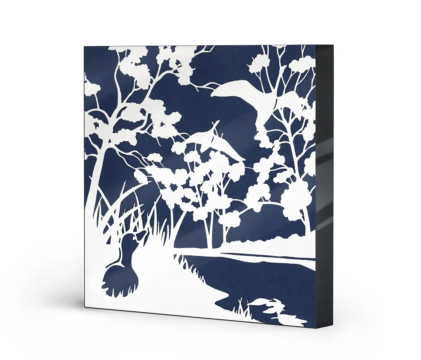 NC Design Group® - Lumaframe | NCD-SPR02-LU