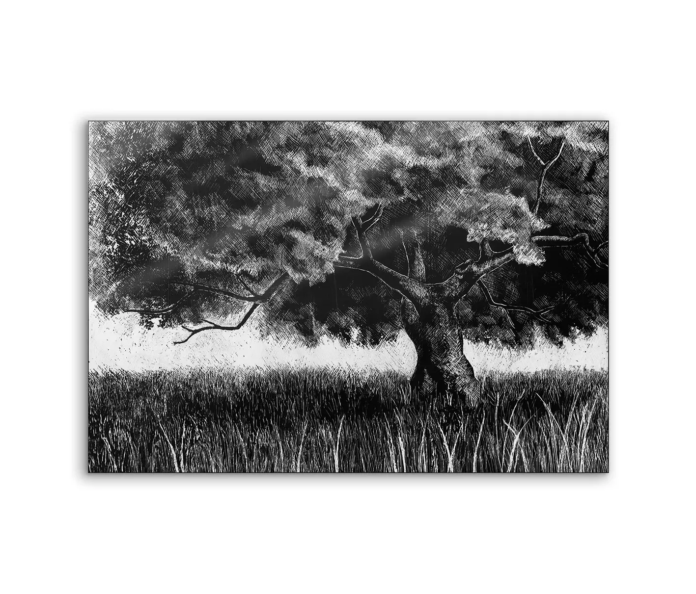 NC Design Group® - Lumaframe | NCD-SPR04-LU