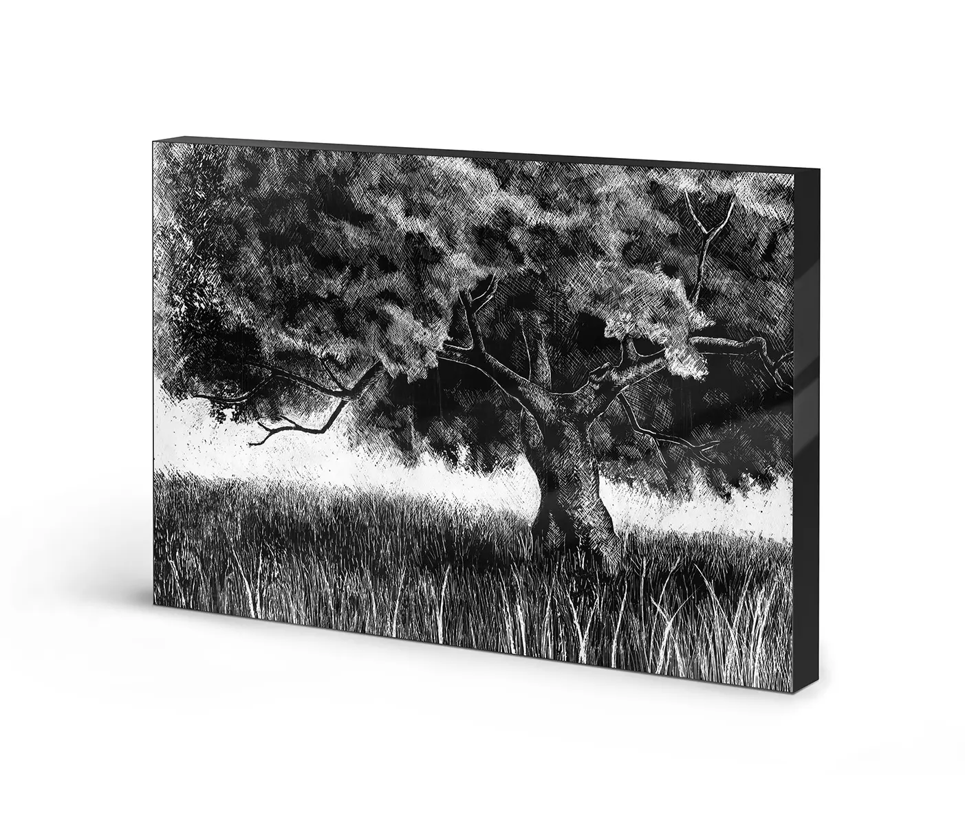 NC Design Group® - Lumaframe | NCD-SPR04-LU
