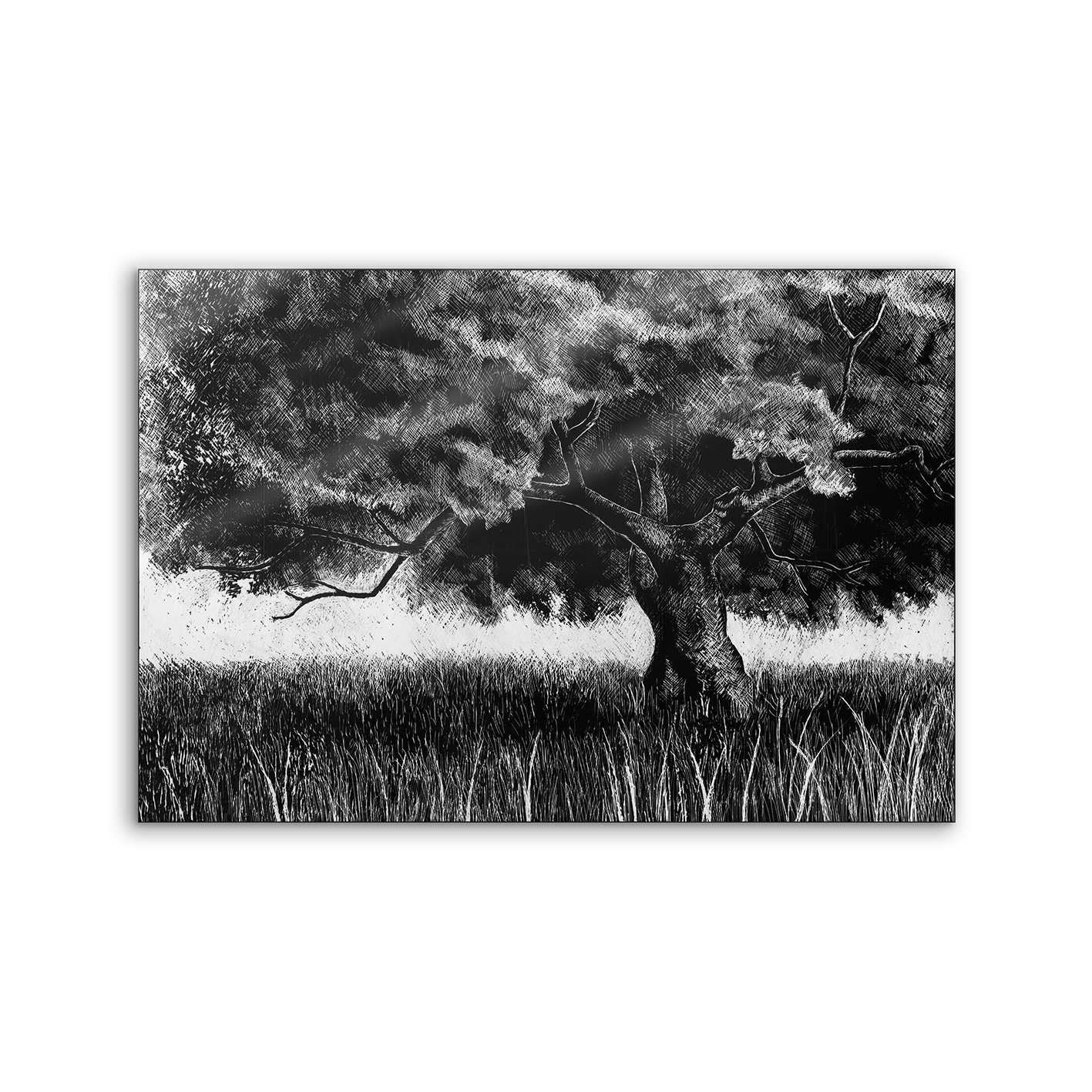 Lumaframe | NCD-SPR04-LU