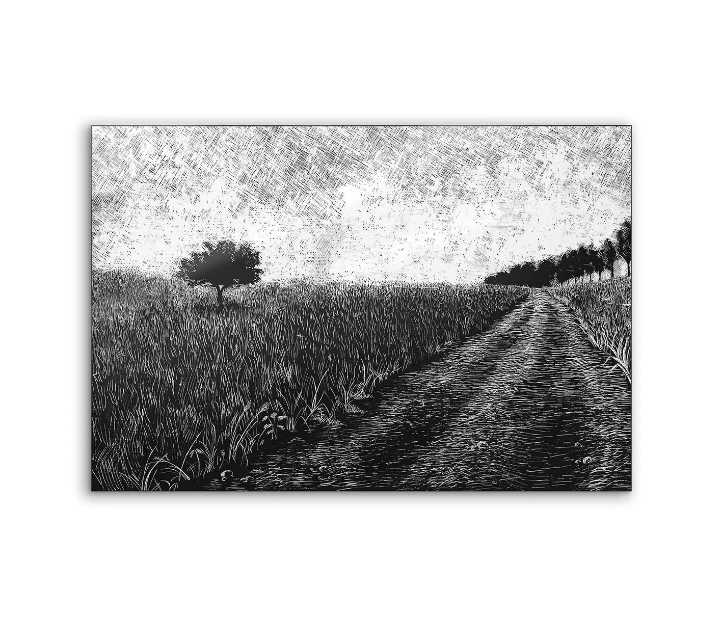 NC Design Group® - Lumaframe | NCD-SPR05-LU