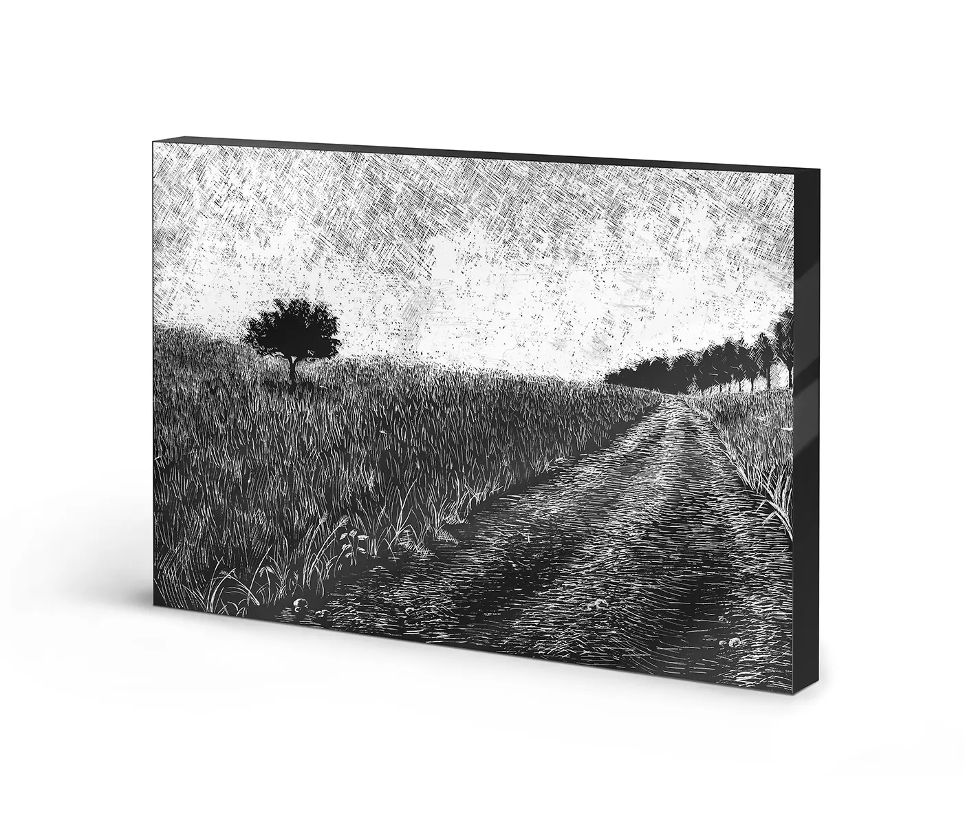 NC Design Group® - Lumaframe | NCD-SPR05-LU