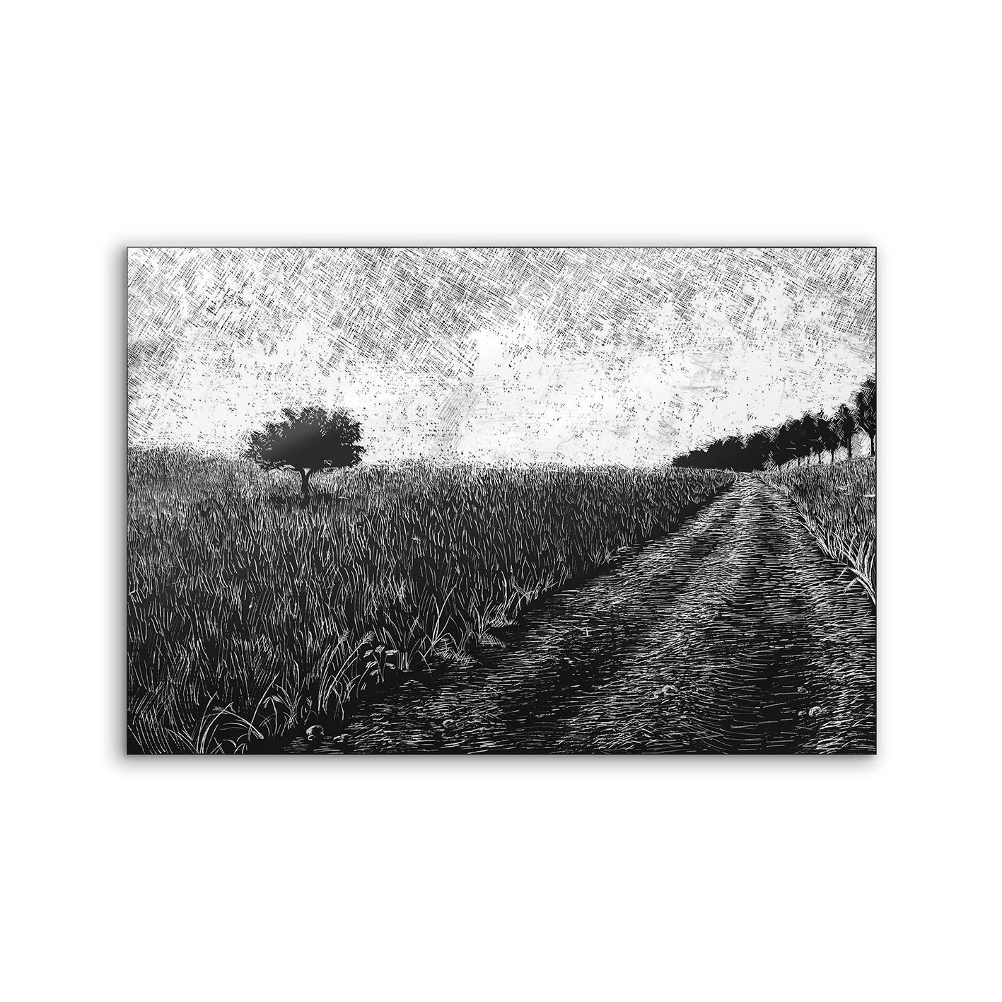 Lumaframe | NCD-SPR05-LU