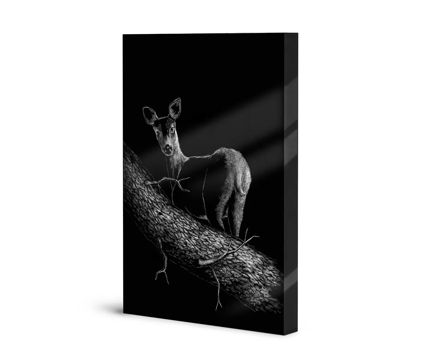 NC Design Group® - Lumaframe | NCD-SPR06-LU