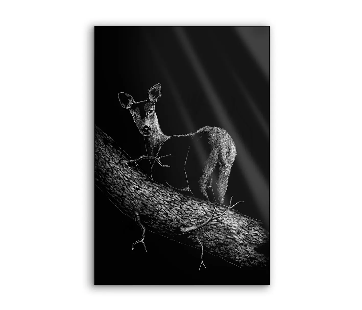 NC Design Group® - Lumaframe | NCD-SPR06-LU