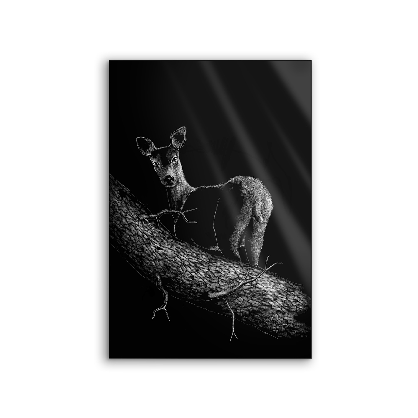 Lumaframe | NCD-SPR06-LU