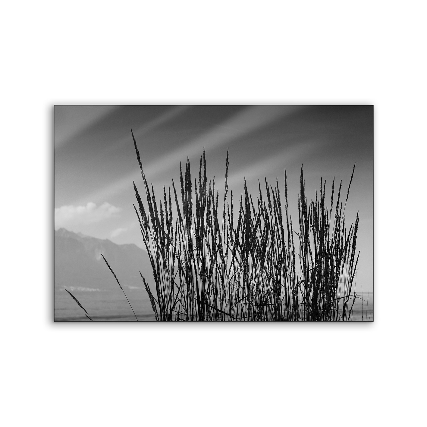 Lumaframe | NCD-TBK01-LU