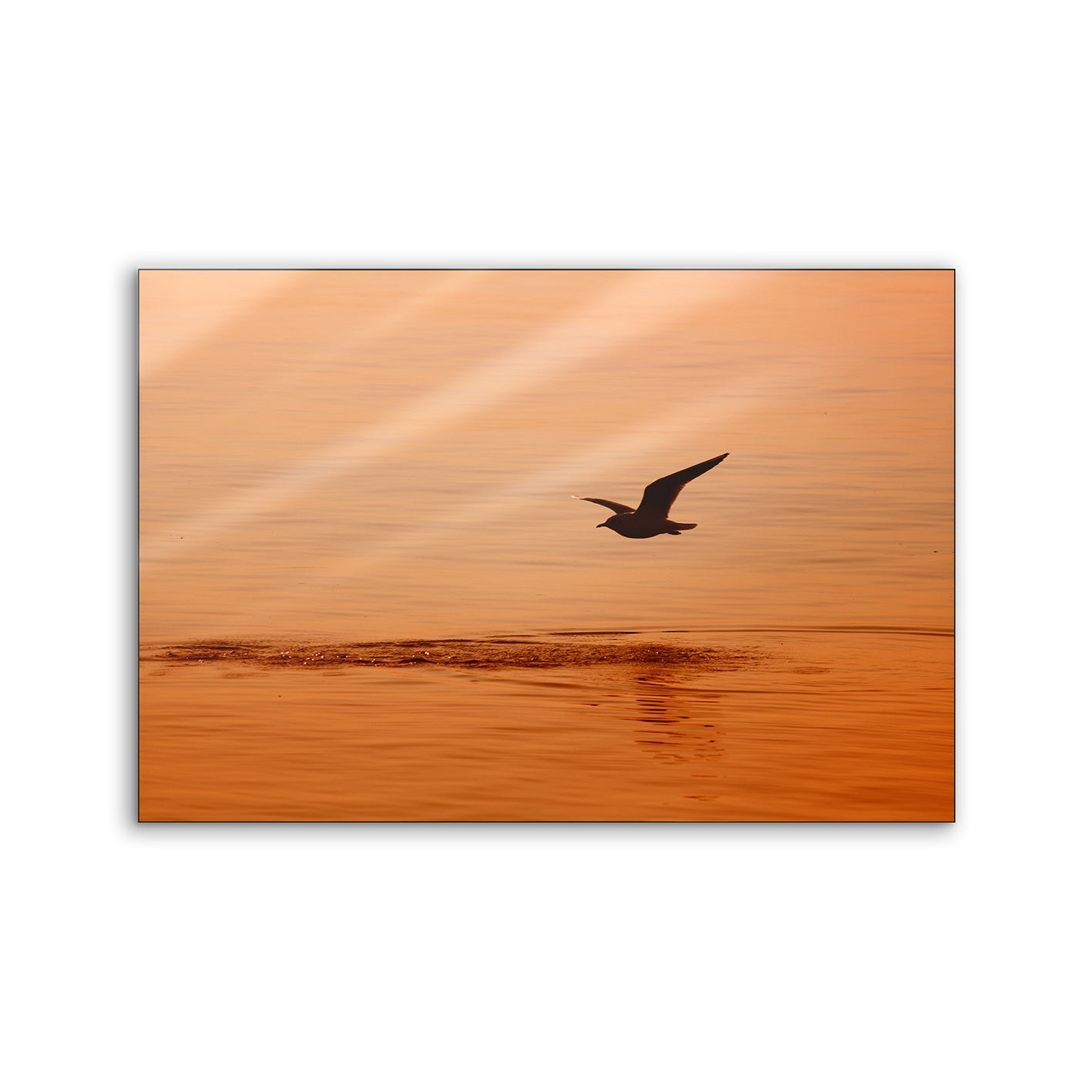 Lumaframe | NCD-TBK02-LU