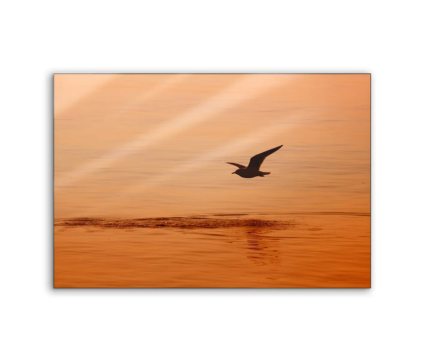 NC Design Group® - Lumaframe | NCD-TBK02-LU