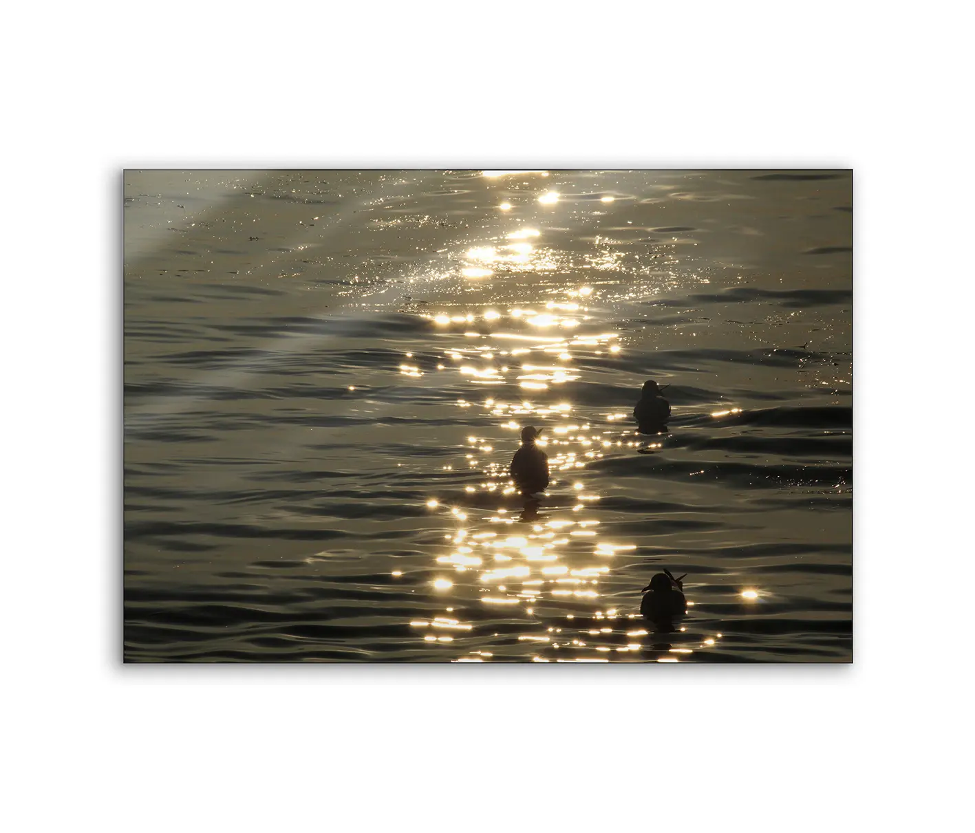 NC Design Group® - Lumaframe | NCD-TBK08-LU