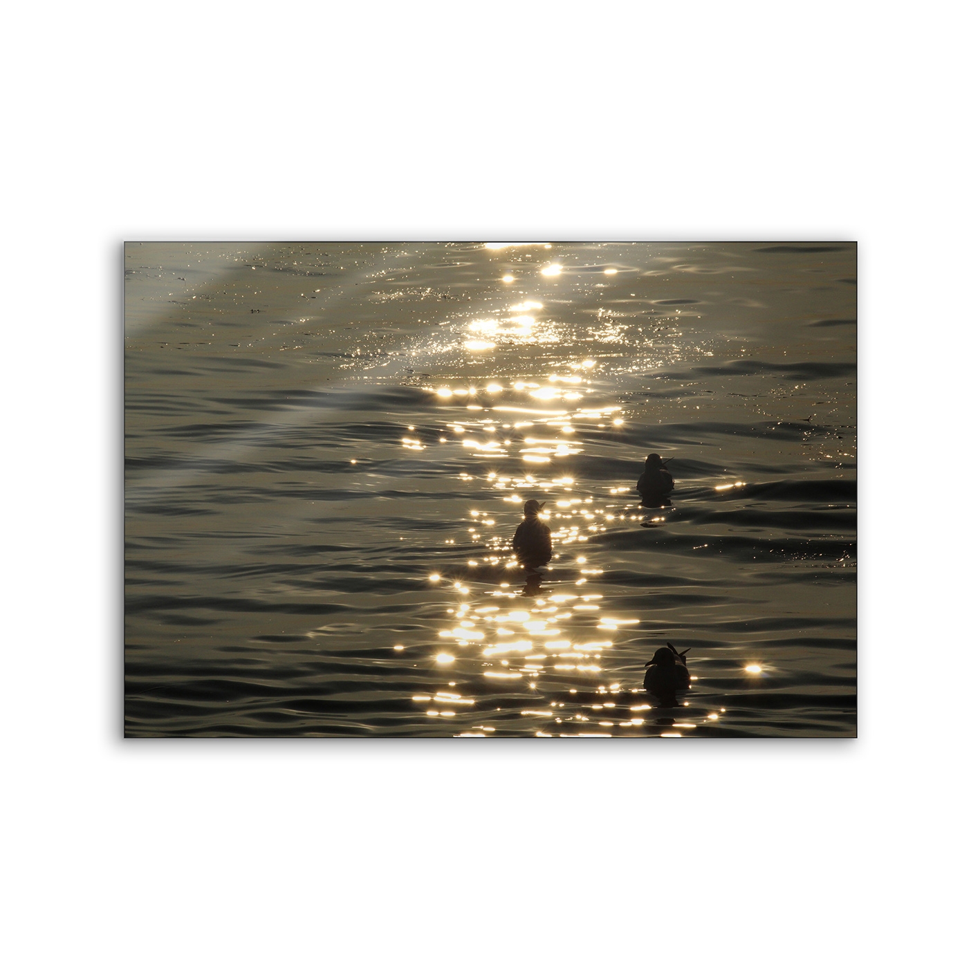 Lumaframe | NCD-TBK08-LU