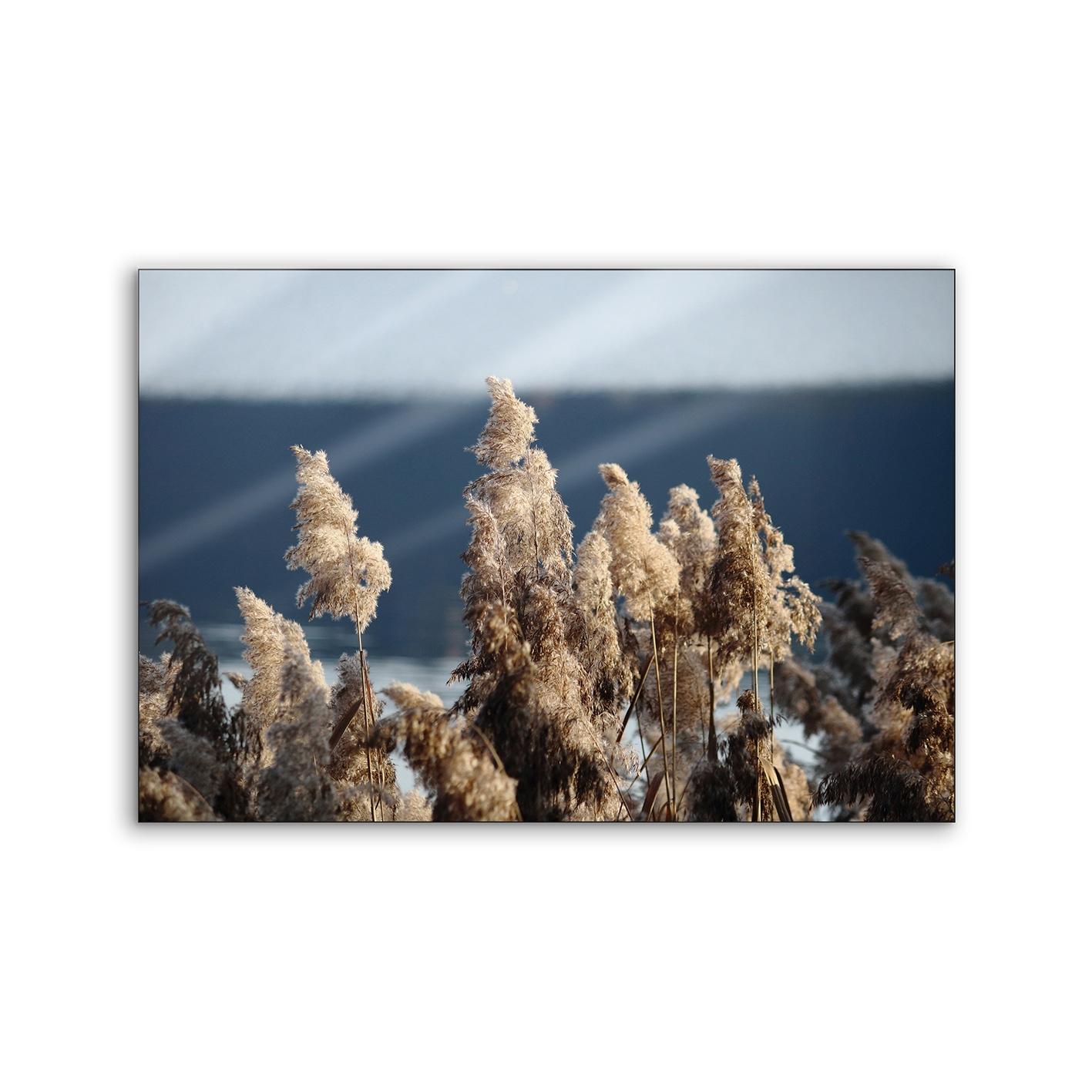 Lumaframe | NCD-TBK09-LU