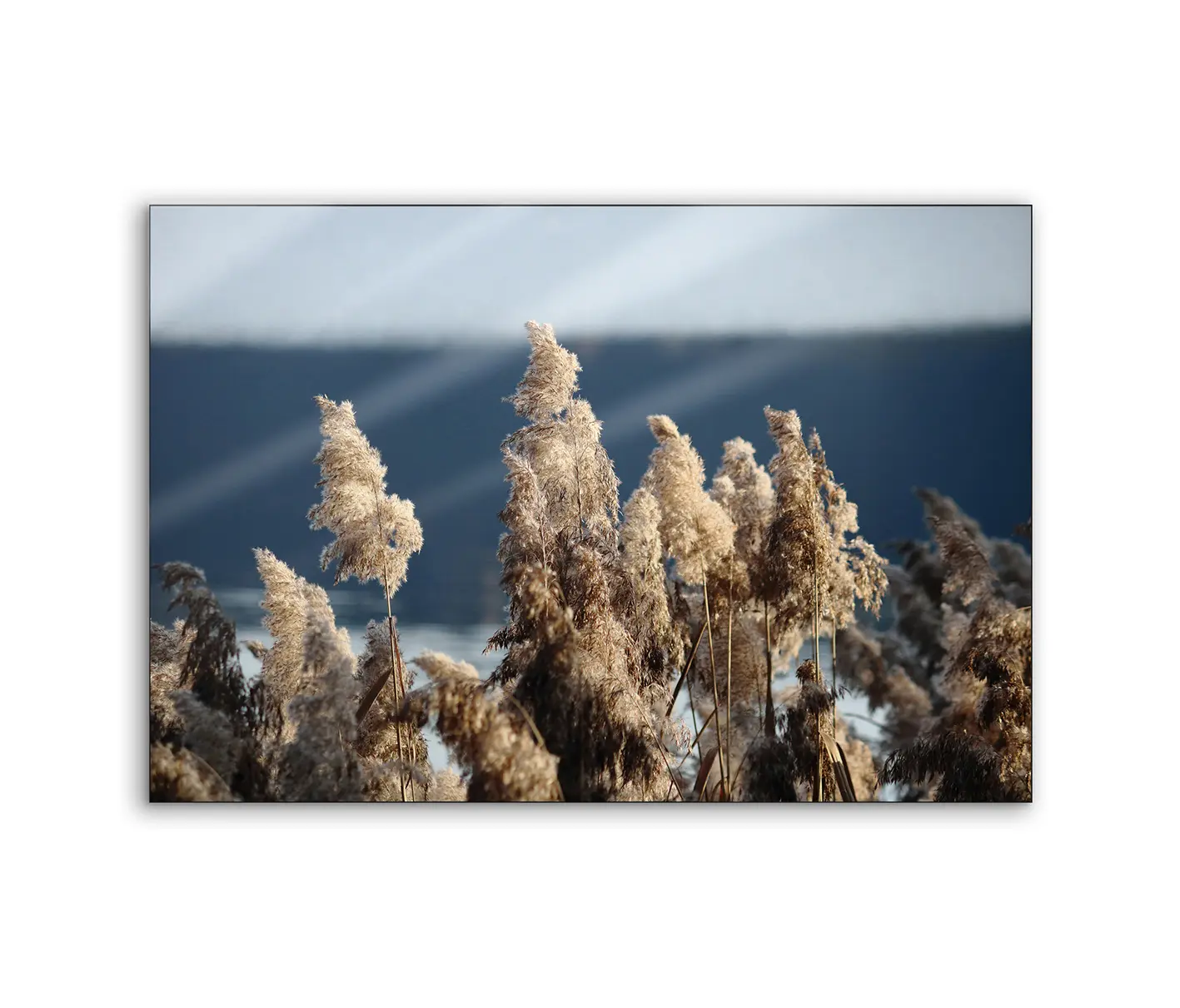 NC Design Group® - Lumaframe | NCD-TBK09-LU