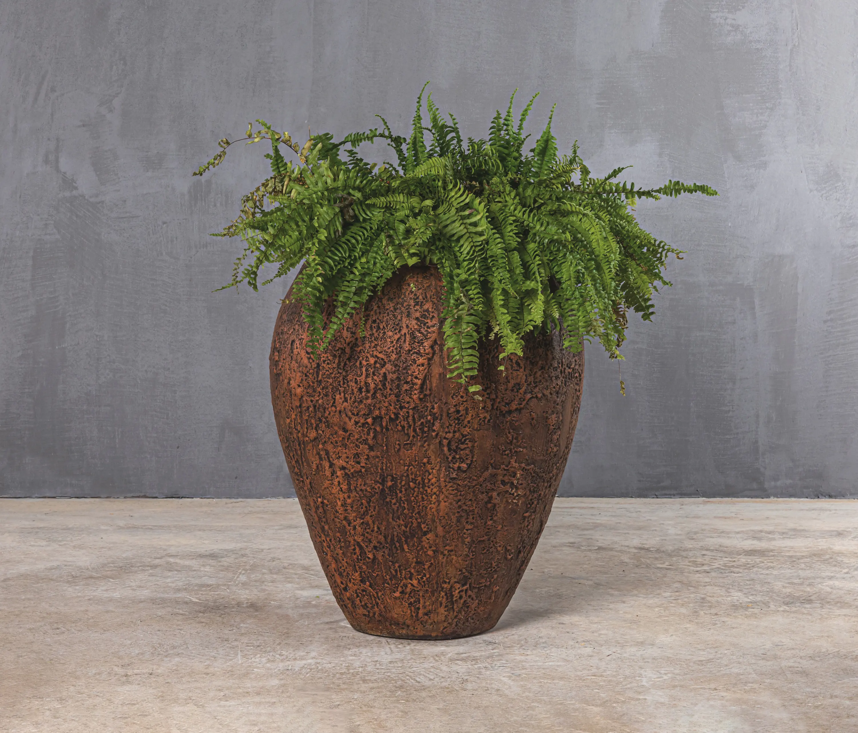 Set Collection - Brutal | Apollo 68 Pot