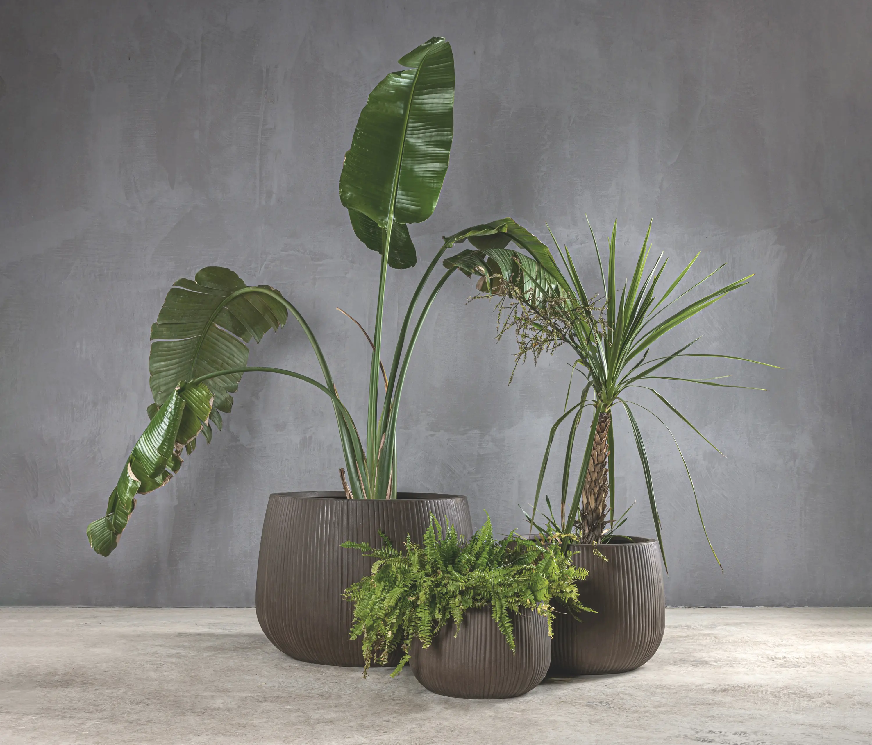 Set Collection - Brutal | Nerja Pots Set of 3 FS351