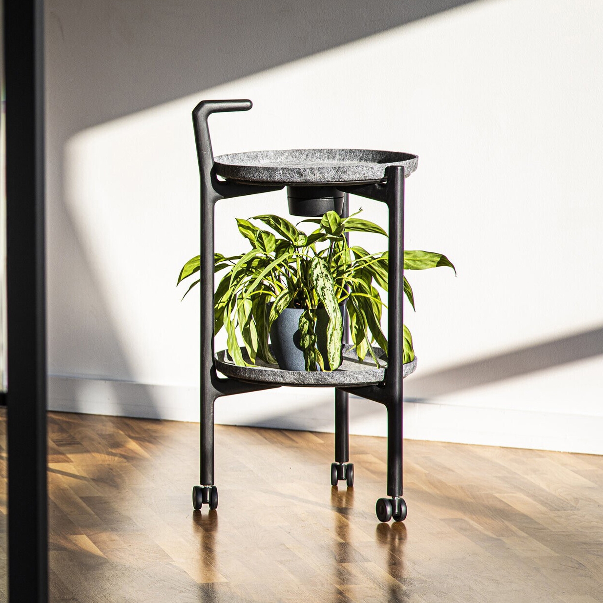 The Dolly | Lightweight Trolley