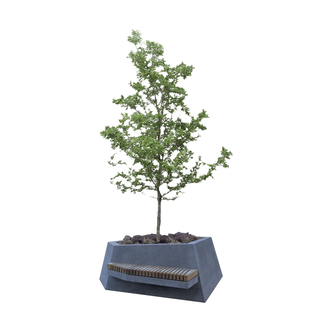 Display product Big Planters | San Lorenzo from manufacturer Euroform W