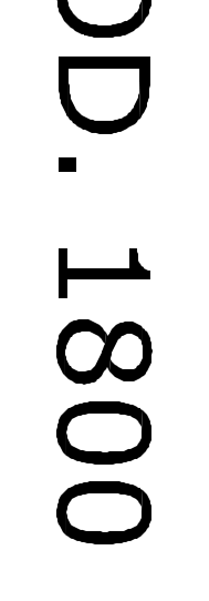 Thumbnail for image 12