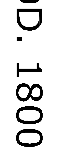 Thumbnail for image 11