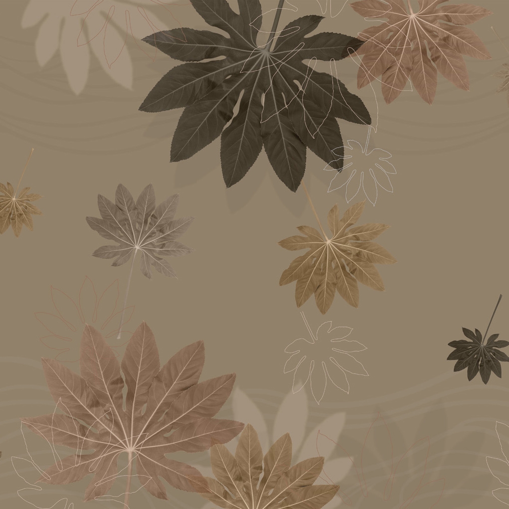 Aralia | Aralia Fall