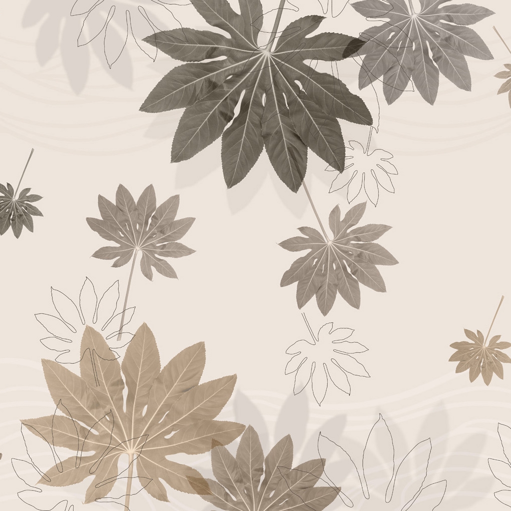 Aralia | Aralia Sand