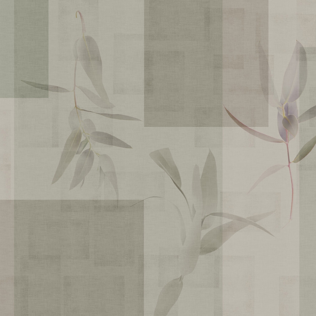 Arborea | Arborea Olive