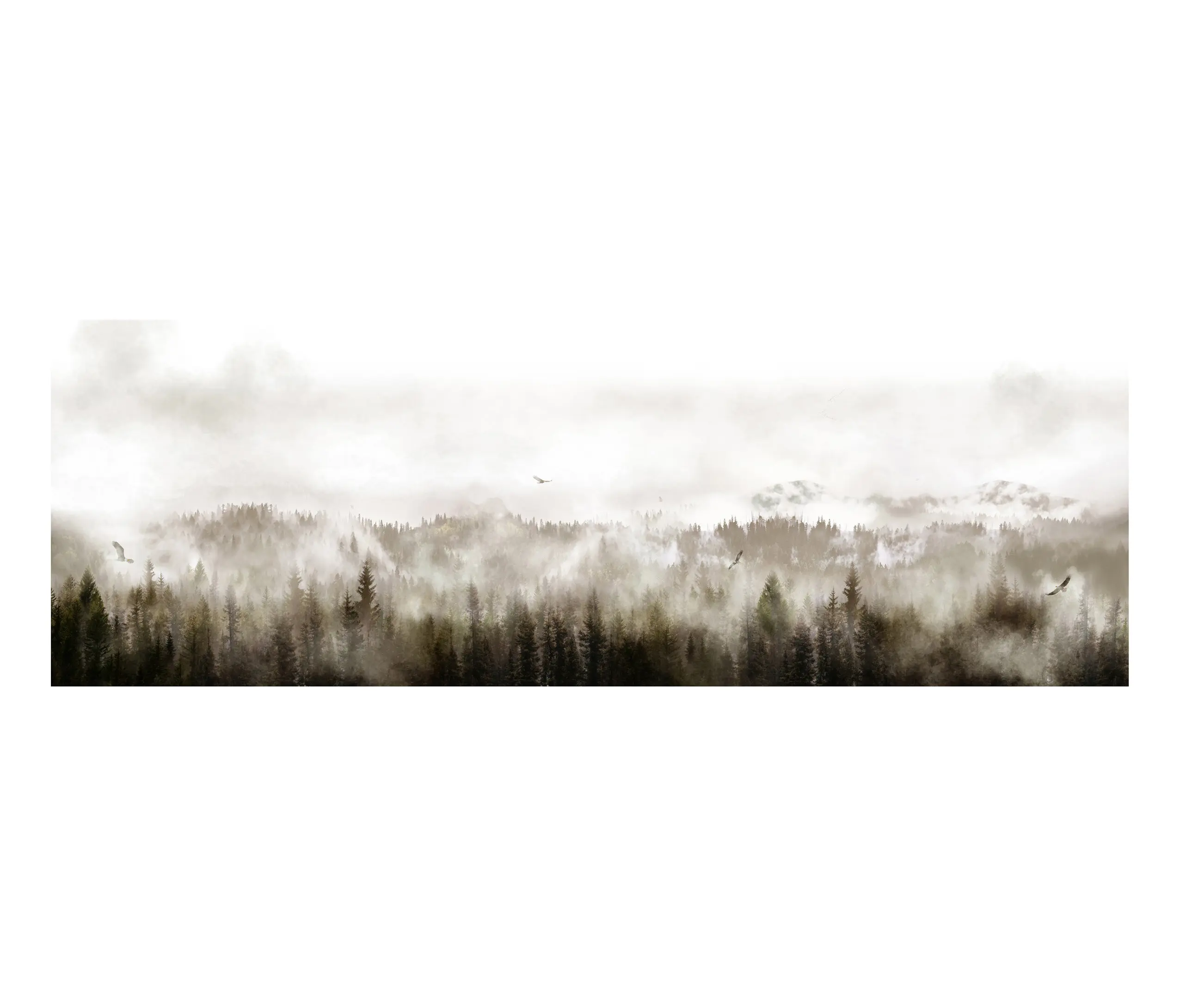 Ambientha - Eagles | Eagles Sunray