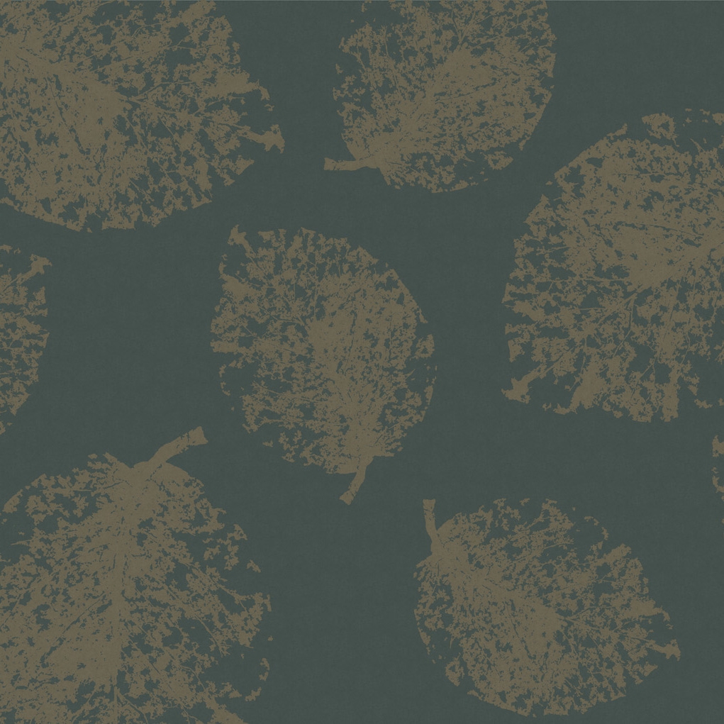 Mostra il prodotto Fate | Ivy Effect del produttore Ambientha