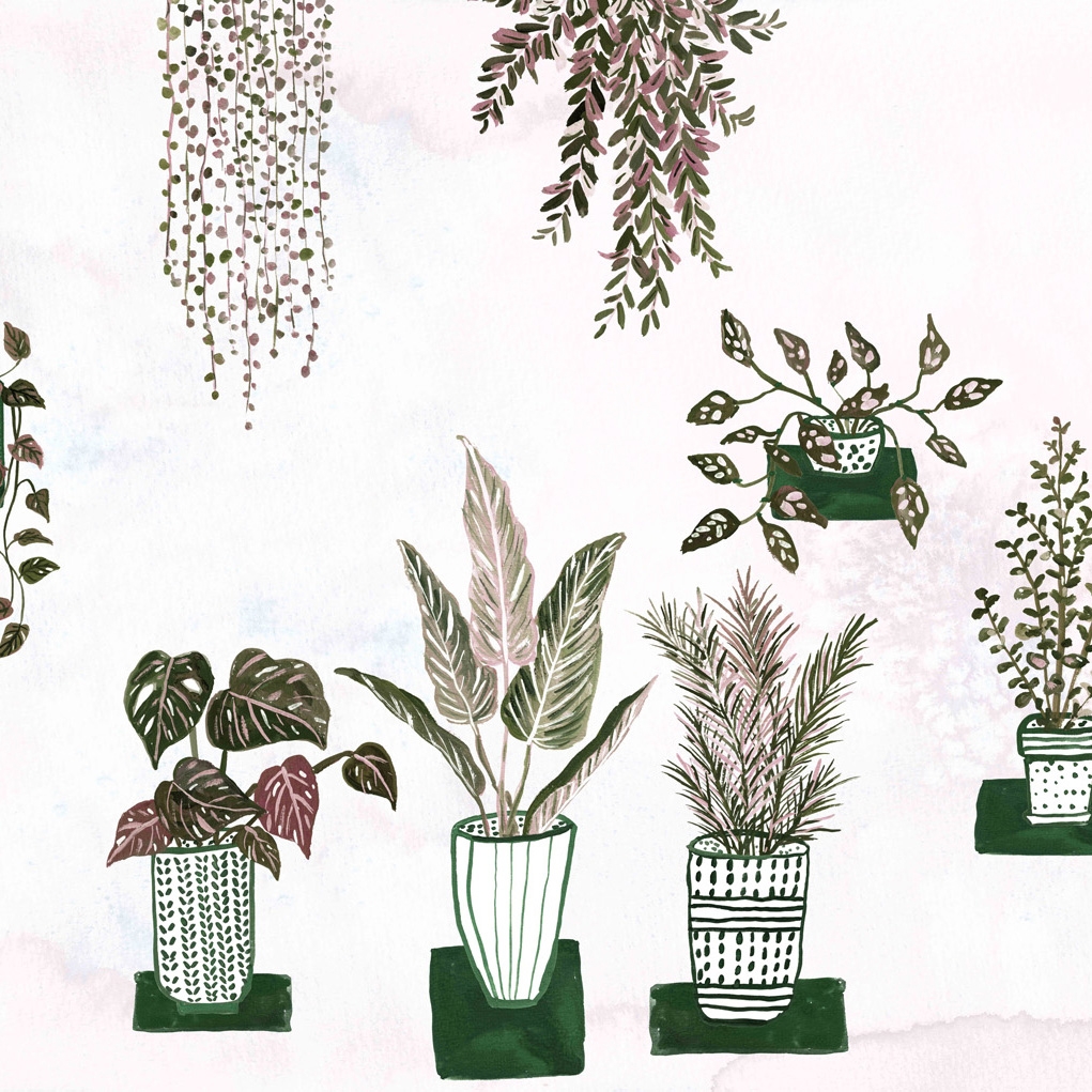 Greenery | Blush Greenery
